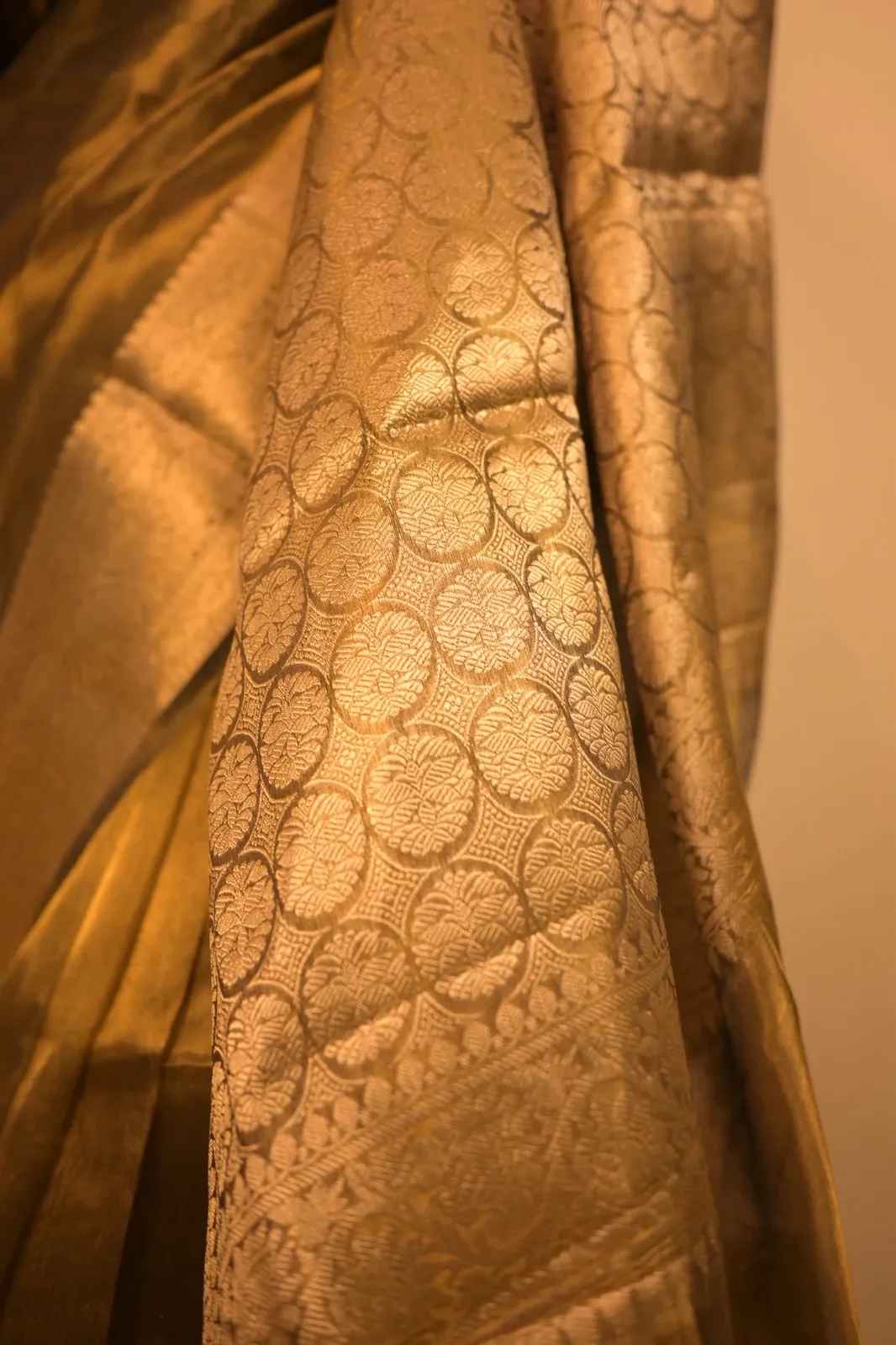 Close-up of the circle-motif brocade pallu